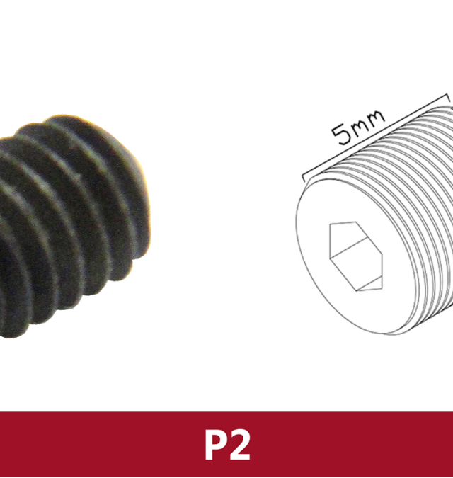 P2