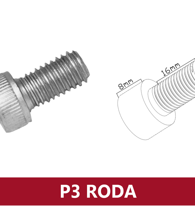 P3 RODA